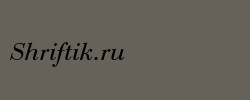 EuroBodT Italic 